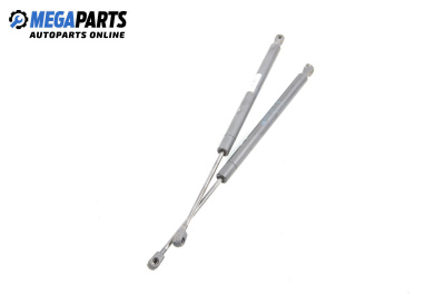 Амортисьор за багажник/товарно пространство за Renault Scenic II Minivan (06.2003 - 07.2010)