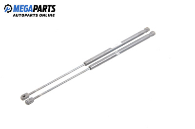 Амортисьор за багажник/товарно пространство за Ford C-Max Minivan I (02.2007 - 09.2010)