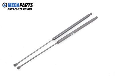 Амортисьор за багажник/товарно пространство за Citroen Xsara Picasso (09.1999 - 06.2012)