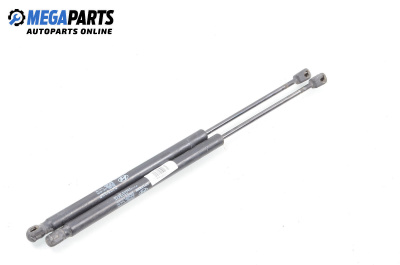 Амортисьор за багажник/товарно пространство за Hyundai Tucson SUV (06.2004 - 11.2010)