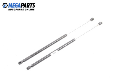 Амортисьор за багажник/товарно пространство за Renault Megane Scenic (10.1996 - 12.2001)