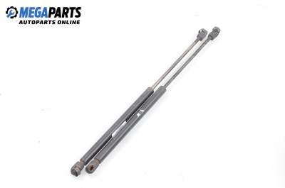 Амортисьор за багажник/товарно пространство за Mini Hatchback (R50, R53) (06.2001 - 09.2006)