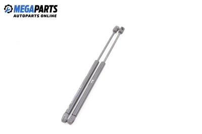 Амортисьор за багажник/товарно пространство за Renault Megane I Hatchback (08.1995 - 12.2004)