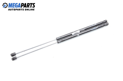 Амортисьор за багажник/товарно пространство за Renault Scenic I Minivan (09.1999 - 07.2010)