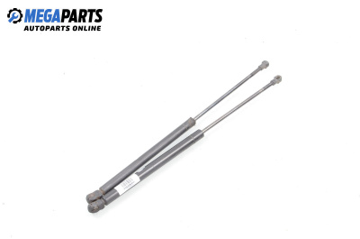 Амортисьор за багажник/товарно пространство за Audi A3 Hatchback I (09.1996 - 05.2003)