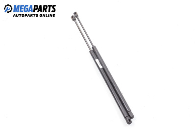 Амортисьор за багажник/товарно пространство за Renault Megane Scenic (10.1996 - 12.2001)