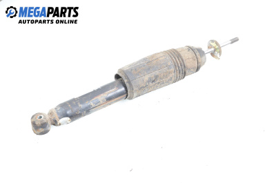 Амортисьор за Fiat Palio Hatchback (04.1996 - 02.2007), хечбек, позиция: задна, дясна