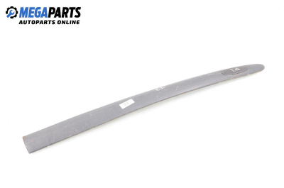 Външна лайсна врата за Renault Clio II Hatchback (09.1998 - 09.2005), хечбек, позиция: предна, дясна