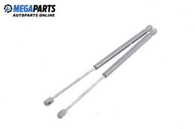 Амортисьор за багажник/товарно пространство за Citroen C3 Hatchback I (02.2002 - 11.2009)