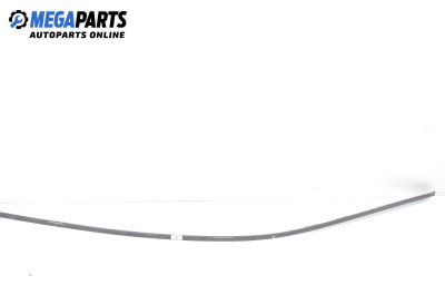 Външни лайсни за Mercedes-Benz B-Class Hatchback I (03.2005 - 11.2011), хечбек, позиция: лява