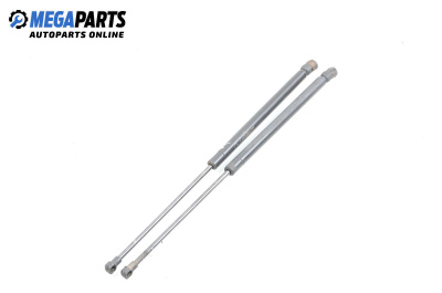 Амортисьор за багажник/товарно пространство за Audi A3 Hatchback I (09.1996 - 05.2003)