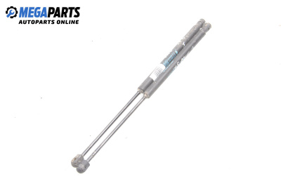 Амортисьор за багажник/товарно пространство за Fiat Stilo Hatchback (10.2001 - 11.2010)