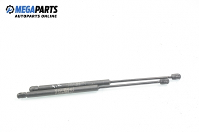 Амортисьор за багажник/товарно пространство за Fiat Bravo I Coupe (1995-10-01 - 2001-10-01)