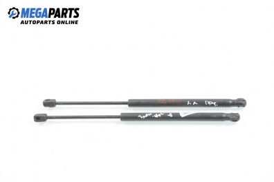 Амортисьор за багажник/товарно пространство за Hyundai Santa Fe I SUV (11.2000 - 03.2006)