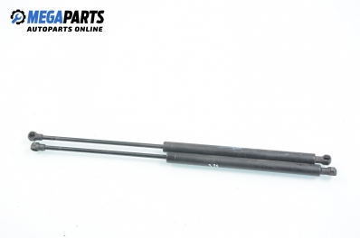 Амортисьор за багажник/товарно пространство за Peugeot 206 Hatchback (08.1998 - 12.2012)