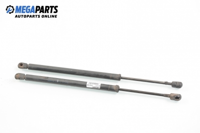 Амортисьор за багажник/товарно пространство за Ford Focus I Hatchback (10.1998 - 12.2007)