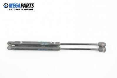 Амортисьор за багажник/товарно пространство за Fiat Stilo Multi Wagon (01.2003 - 08.2008)