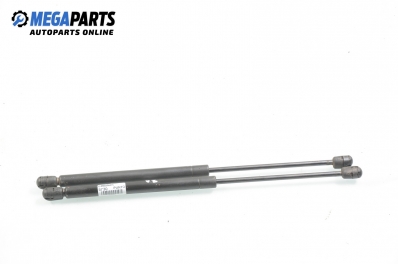 Амортисьор за багажник/товарно пространство за Fiat Punto Hatchback (09.1993 - 09.1999)