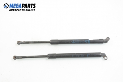 Амортисьор за багажник/товарно пространство за BMW 5 Series E39 Sedan (11.1995 - 06.2003)