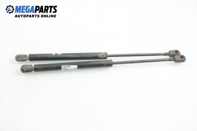 Амортисьор за багажник/товарно пространство за Audi A6 Sedan C4 (06.1994 - 10.1997)