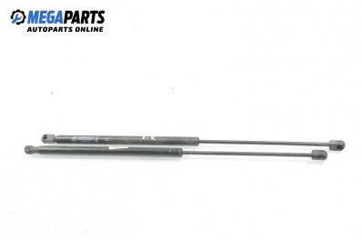 Амортисьор за багажник/товарно пространство за Renault Scenic I Minivan (09.1999 - 07.2010)