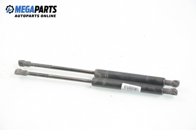 Амортисьор за багажник/товарно пространство за BMW 5 Series E39 Sedan (11.1995 - 06.2003)