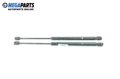 Амортисьор за багажник/товарно пространство за Renault Megane I Hatchback (08.1995 - 12.2004)