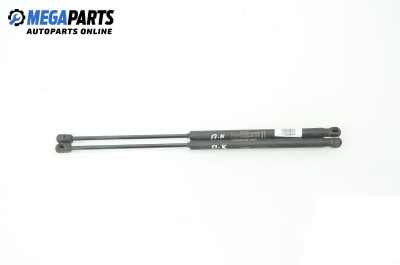 Амортисьор преден капак за Fiat Stilo Hatchback (10.2001 - 11.2010)