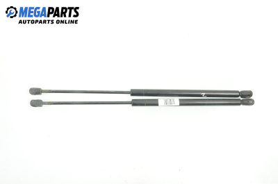 Амортисьор за багажник/товарно пространство за Seat Ibiza III Hatchback (08.1999 - 02.2002)