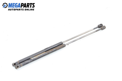 Амортисьор за багажник/товарно пространство за Hyundai Santa Fe I SUV (11.2000 - 03.2006)