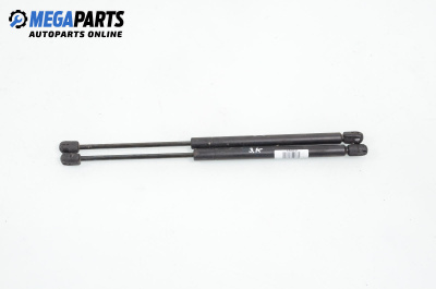 Амортисьор за багажник/товарно пространство за Hyundai Santa Fe I SUV (11.2000 - 03.2006)