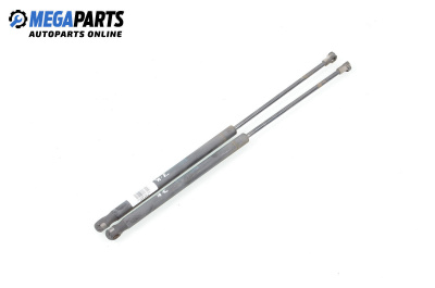 Амортисьор за багажник/товарно пространство за Seat Ibiza III Hatchback (02.2002 - 11.2009)