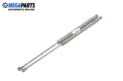 Амортисьор за багажник/товарно пространство за Peugeot 206 Hatchback (08.1998 - 12.2012)
