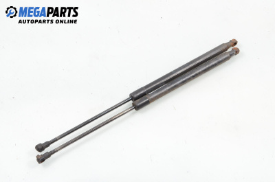 Амортисьор за багажник/товарно пространство за Audi A4 Avant B6 (04.2001 - 12.2004)