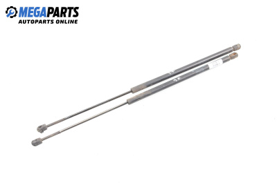 Амортисьор за багажник/товарно пространство за Mercedes-Benz Vaneo Minivan (02.2002 - 07.2005)