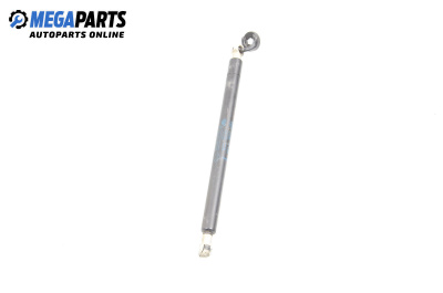 Амортисьор за багажник/товарно пространство за Renault Scenic I Minivan (09.1999 - 07.2010)