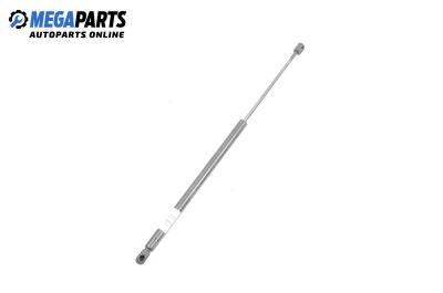 Амортисьор за багажник/товарно пространство за Renault Scenic I Minivan (09.1999 - 07.2010)