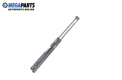 Амортисьор за багажник/товарно пространство за Audi A3 Hatchback I (09.1996 - 05.2003)