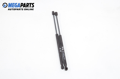 Амортисьор за багажник/товарно пространство за Renault Megane II Hatchback (07.2001 - 10.2012)