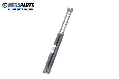 Амортисьор за багажник/товарно пространство за Renault Megane II Hatchback (07.2001 - 10.2012)