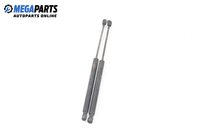 Амортисьор за багажник/товарно пространство за Opel Signum Hatchback (05.2003 - 12.2008)