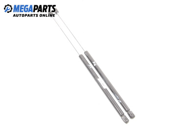 Амортисьор за багажник/товарно пространство за Renault Scenic I Minivan (09.1999 - 07.2010)