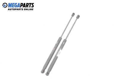 Амортисьор за багажник/товарно пространство за Fiat Bravo I Hatchback (1995-10-01 - 2001-10-01)