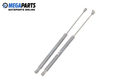 Амортисьор за багажник/товарно пространство за Renault Megane II Grandtour (08.2003 - 08.2012)