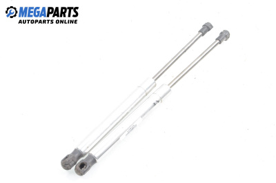 Амортисьор за багажник/товарно пространство за Volkswagen Phaeton Sedan (04.2002 - 03.2016)