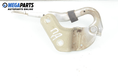 Панта преден капак за Renault Clio III Hatchback (01.2005 - 12.2012), 2+1 вр., хечбек, позиция: дясна