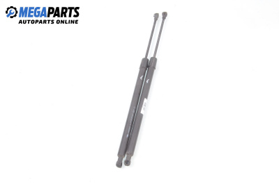 Амортисьор за багажник/товарно пространство за Renault Modus / Grand Modus Minivan (09.2004 - 09.2012)