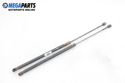 Амортисьор за багажник/товарно пространство за Mercedes-Benz Vaneo Minivan (02.2002 - 07.2005)