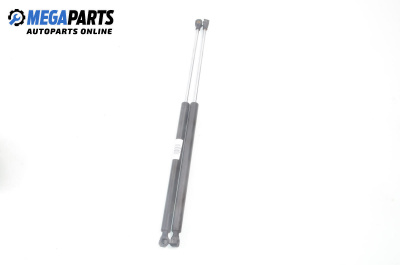 Амортисьор за багажник/товарно пространство за Peugeot 106 II Hatchback (04.1996 - 05.2005)