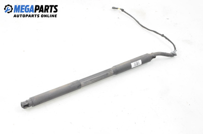 Амортисьор за багажник/товарно пространство за BMW 3 Series F30 Touring F31 (10.2011 - 07.2019)